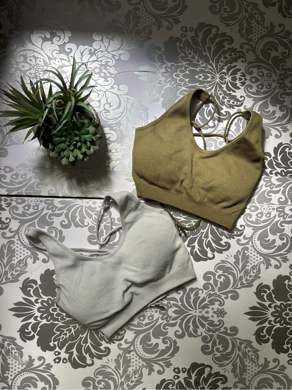 Bo+Tee Ribbed Scoop Neck Bra - Olive & Cream
